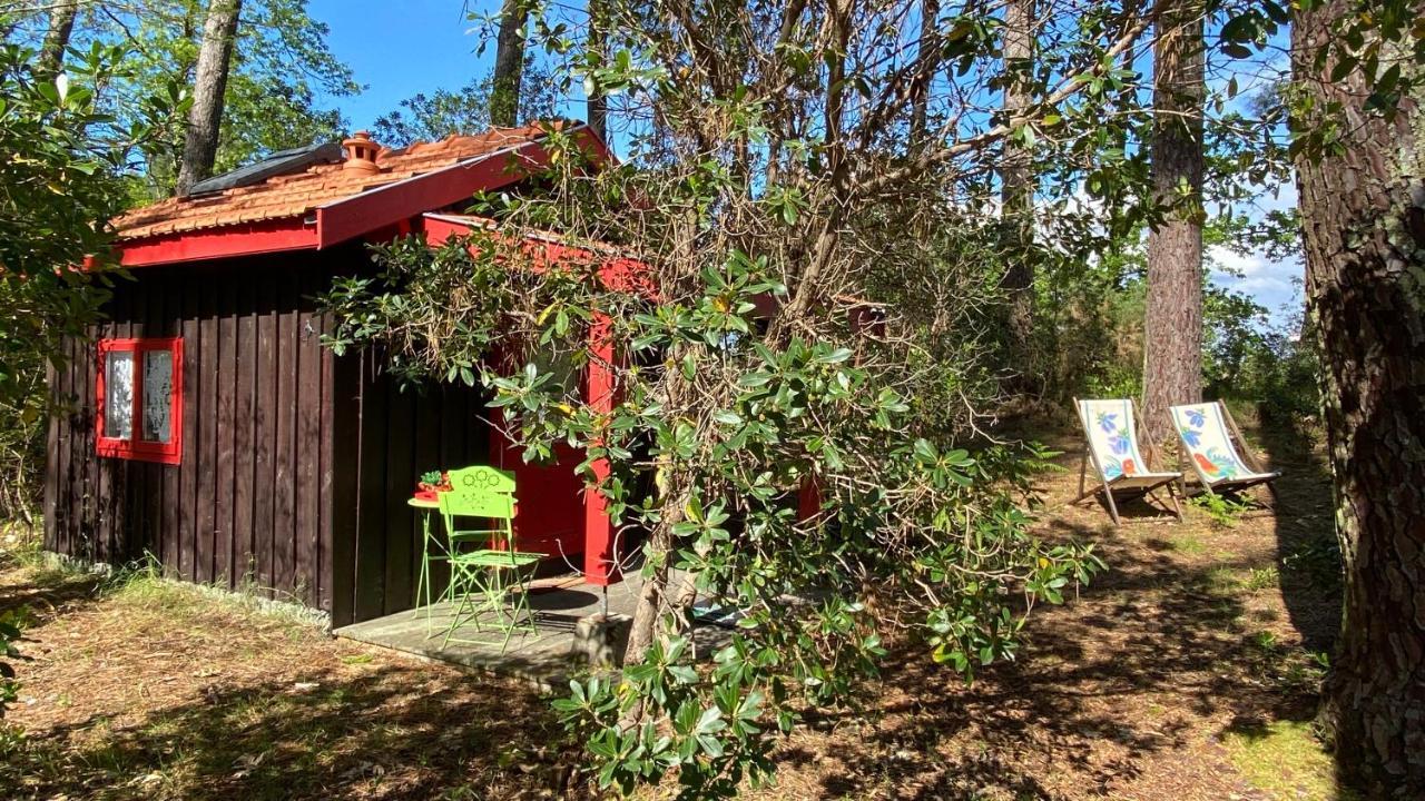 Le Petit Poulailler Au Beau Milieu Des Pins Villa Lacanau Exterior photo