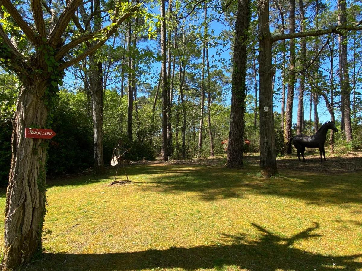 Le Petit Poulailler Au Beau Milieu Des Pins Villa Lacanau Exterior photo