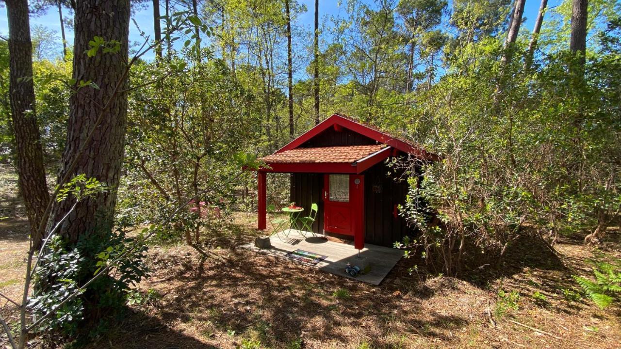 Le Petit Poulailler Au Beau Milieu Des Pins Villa Lacanau Exterior photo